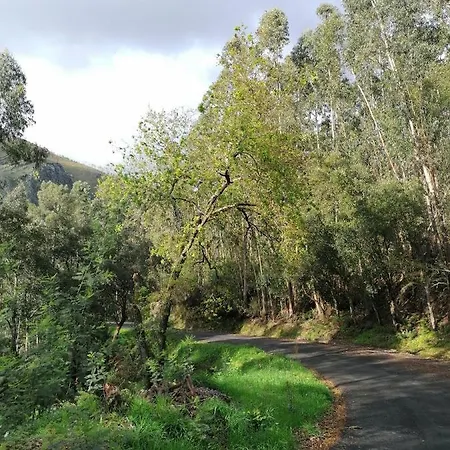 Aldeia De Xisto - Gondarem - Casa T3