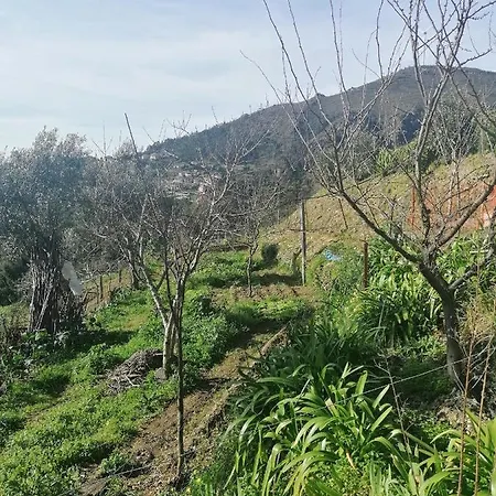 Aldeia De Xisto - Gondarem - Casa T3 * 派瓦堡